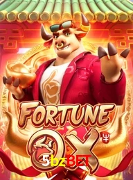 5BZBET.COM